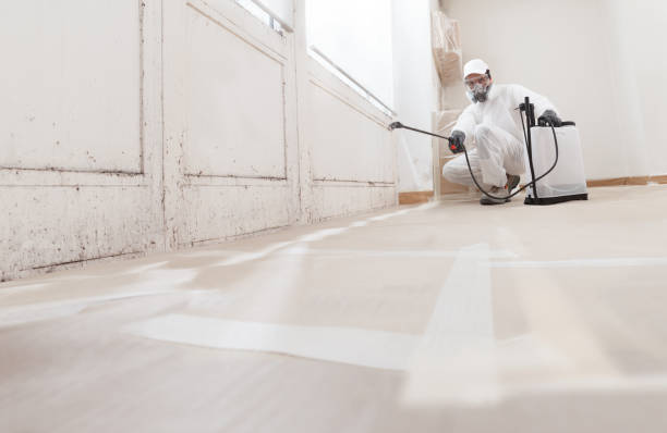 Black mold remediation team in Bryn Athyn